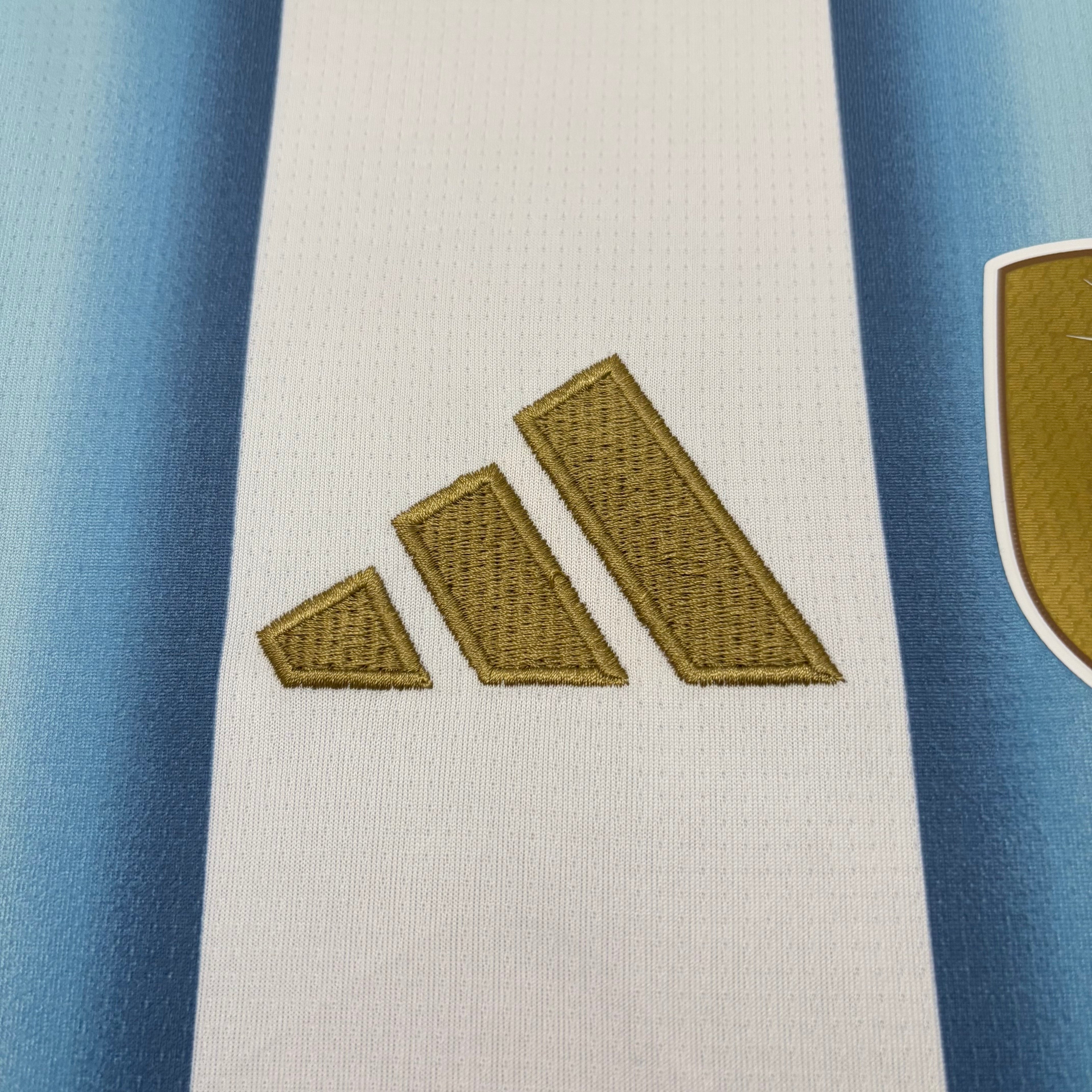 Argentina - Local - Versión Aficionado - Temporada 2025/26